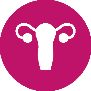 Gynaecological Cancer